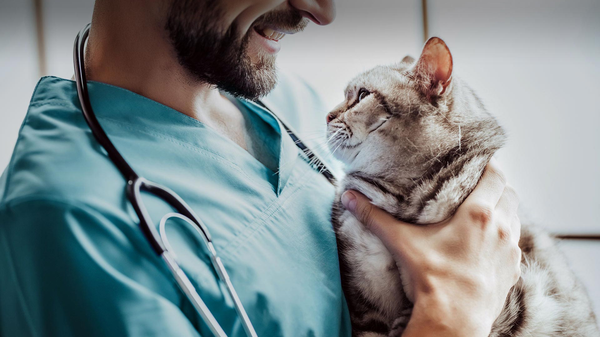 Cihanbeyli Veteriner